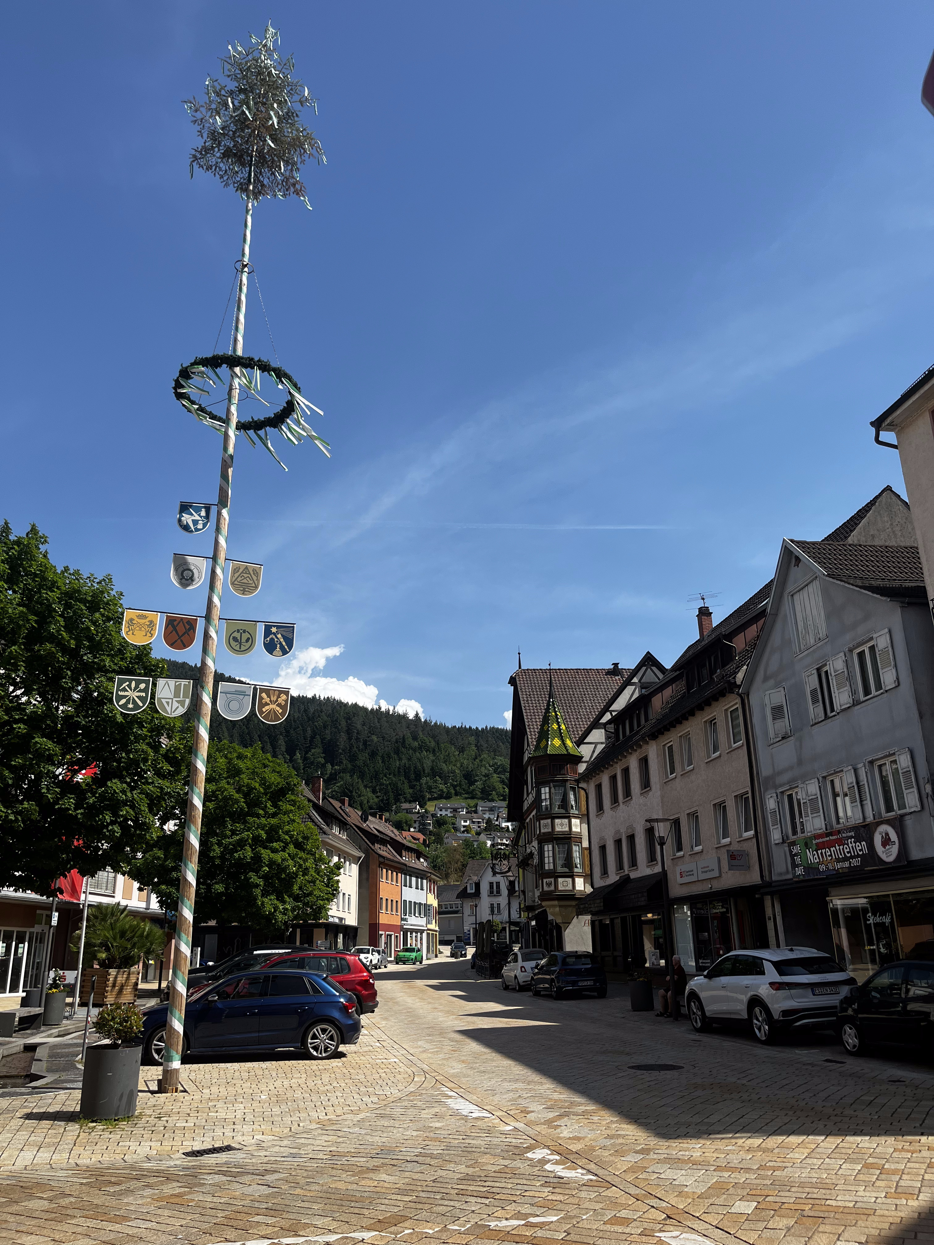 Hauptstraße Hornberg