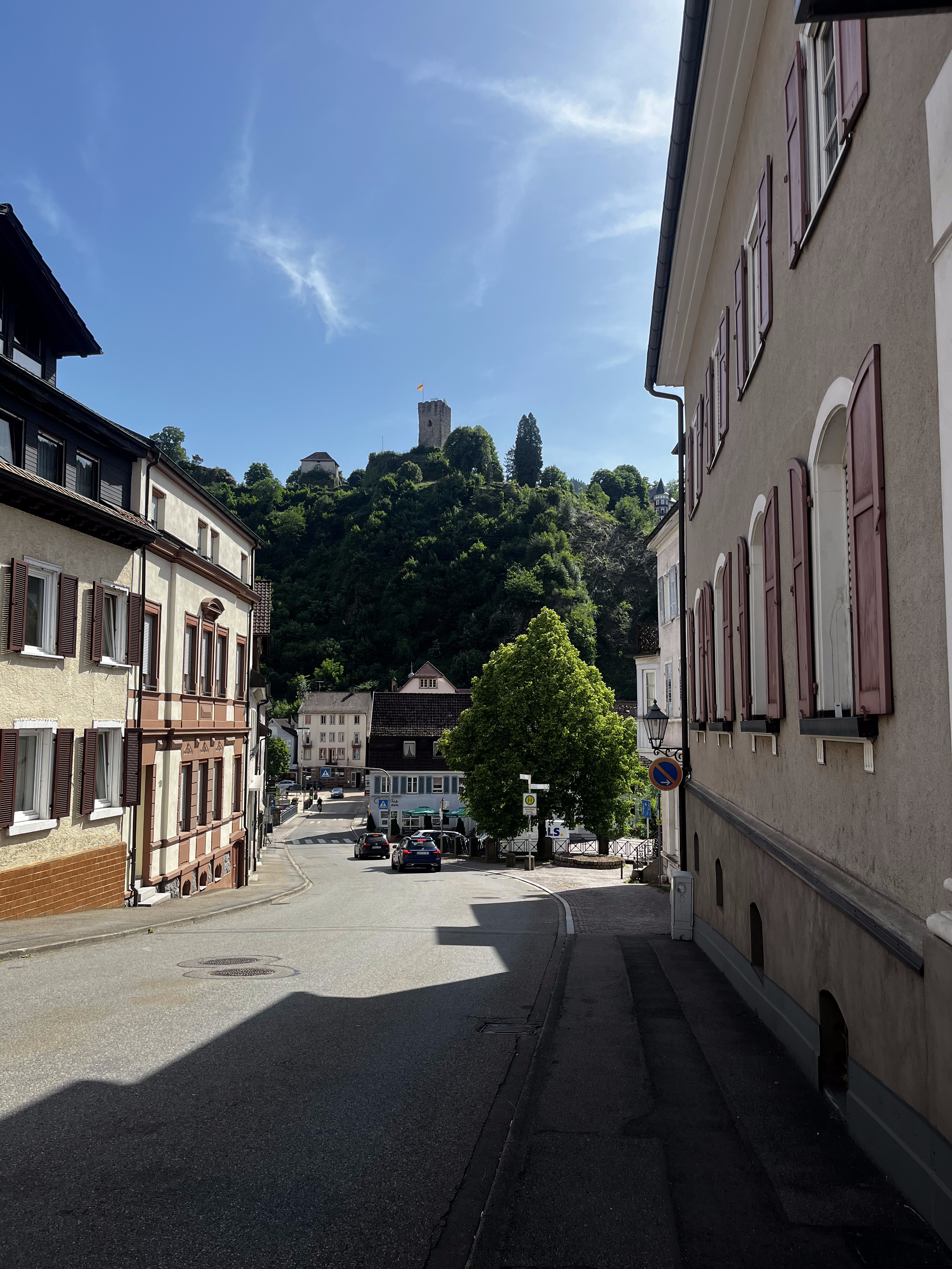 Burg Hornberg