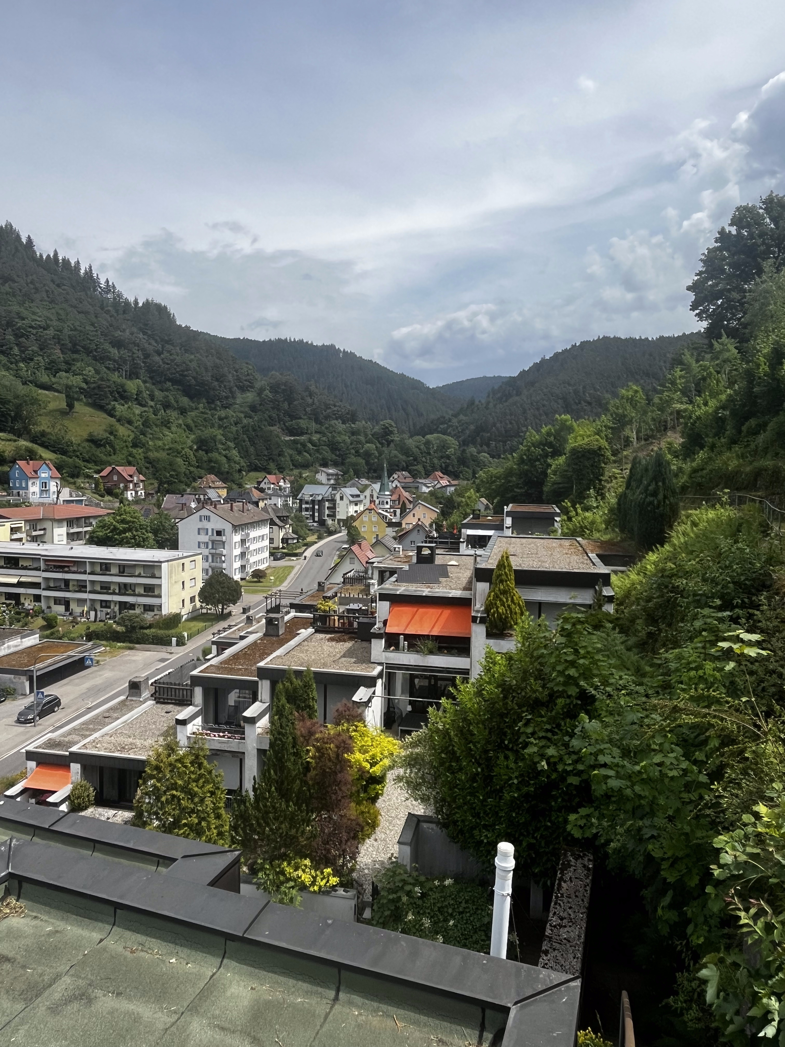 Talblick über Hornberg